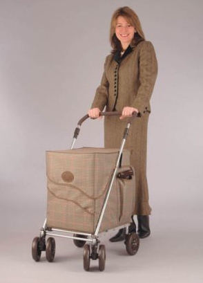 Deluxe Shopping Trolley