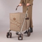 Deluxe Shopping Trolley