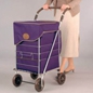 Shopping Trolley Classic Sholley
