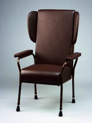 Adjustable Metal Framed Chair with Wings