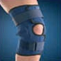 Standard Knee Brace
